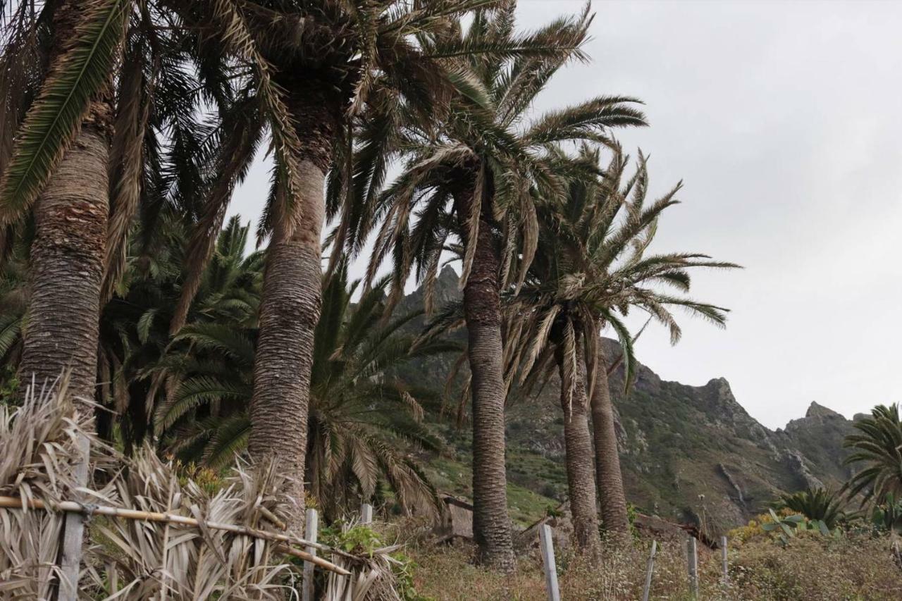Oasis Atlántico: rincón secreto al pie de los senderos Azano Exterior foto